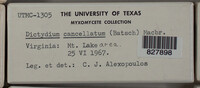Image Associated With the Occurence